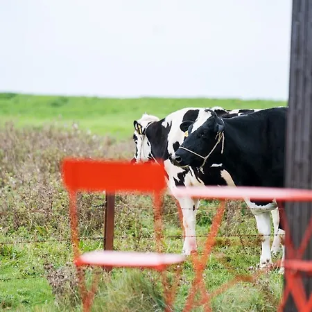 Tiny House Nature 13 Zur Kuhweide - Tiny Village Harlesiel