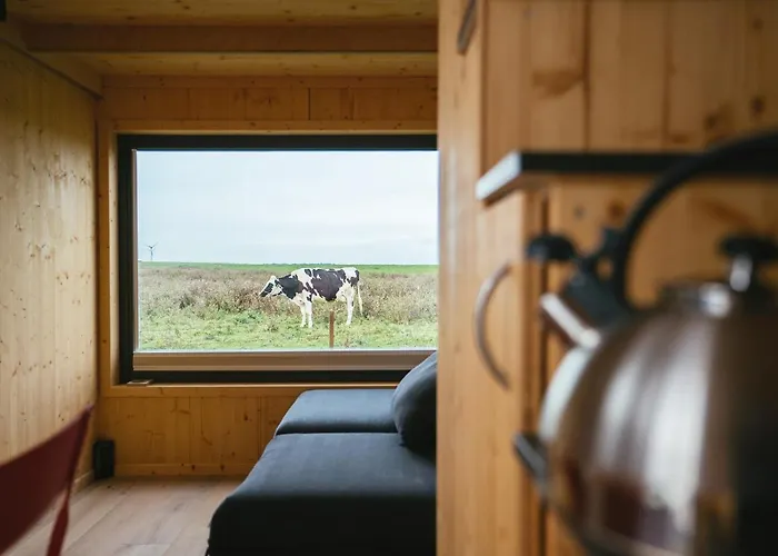 Ferienhaus Tiny House Nature 13 Zur Kuhweide - Tiny Village Harlesiel Carolinensiel