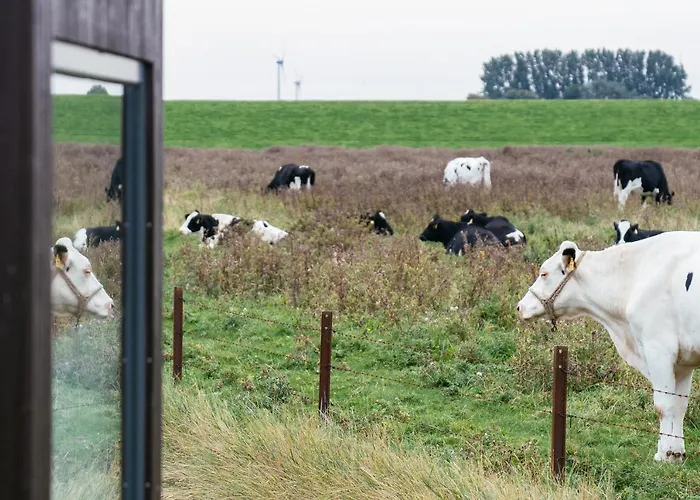 Tiny House Nature 13 Zur Kuhweide - Tiny Village Harlesiel
